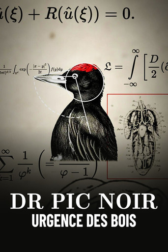 Dr Pic Noir, urgence des bois poster
