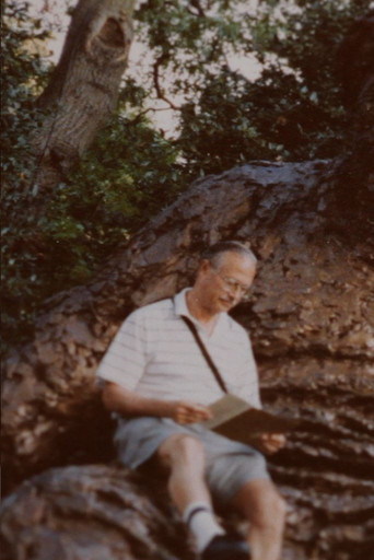 27 Thoughts About My Father poster