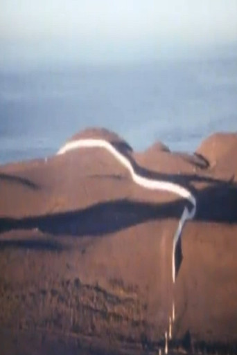 Christo Running Fence Reels poster