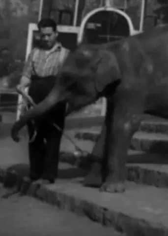 National Zoological Garden poster