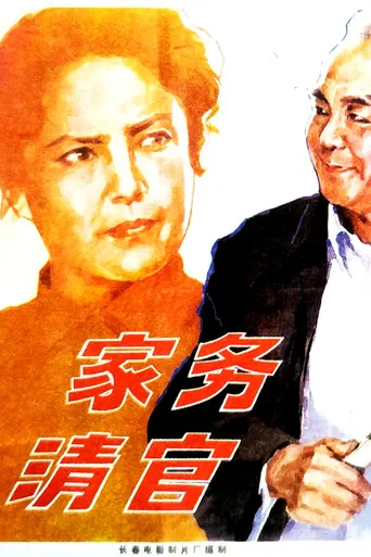 家务清官 poster