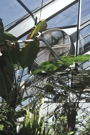 There are things in this world that are yet to be named poster