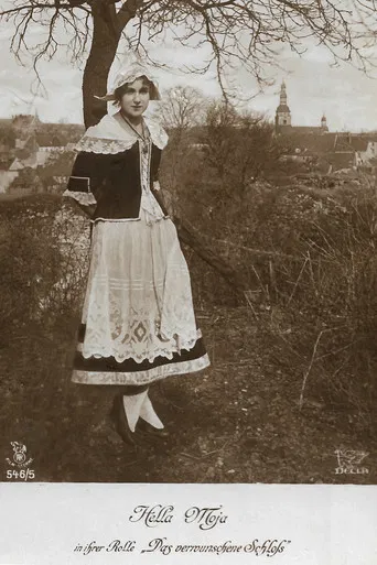 Das verwunschene Schloß poster