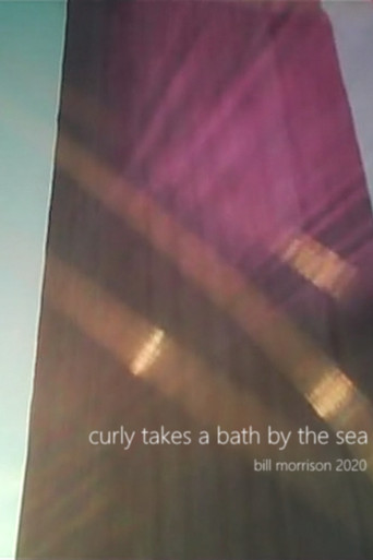 Curly Takes a Bath by the Sea poster