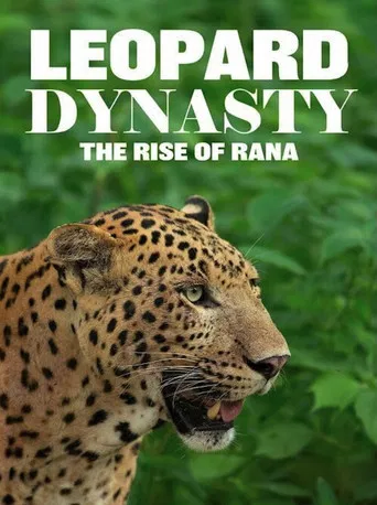 Leopard Dynasty – The Rise of Rana poster
