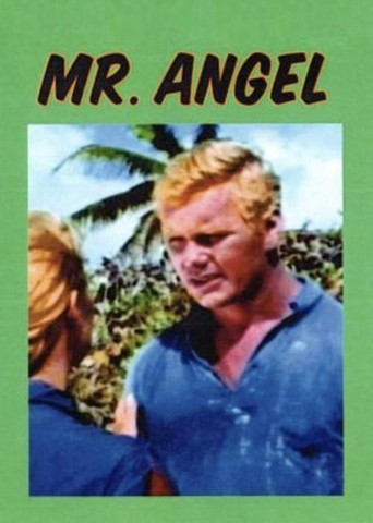 Mr. Angel poster