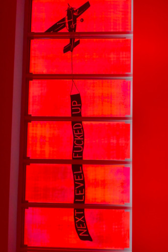 NEXT LEVEL FUCKED UP poster