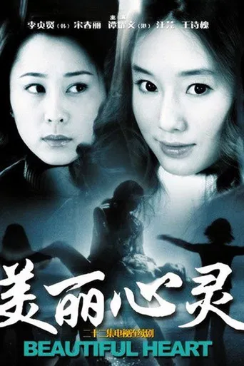 美丽心灵 poster