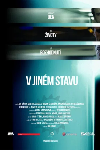 V jiném stavu poster