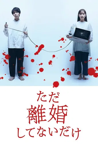 We Are Just Not Divorced poster