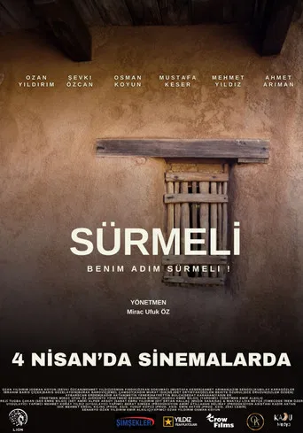 Sürmeli poster