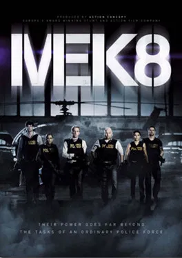 MEK 8 poster