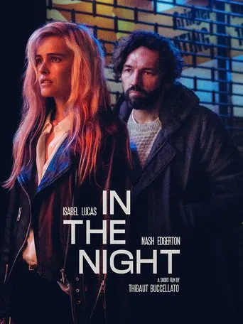 In The Night poster