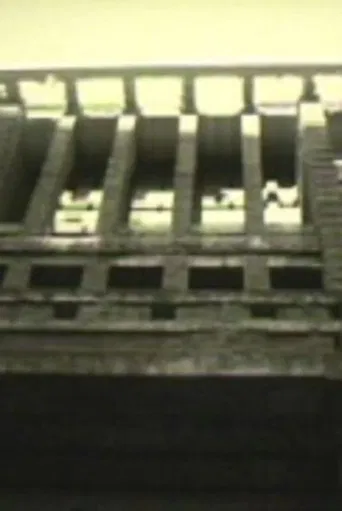 Imperial Hotel poster