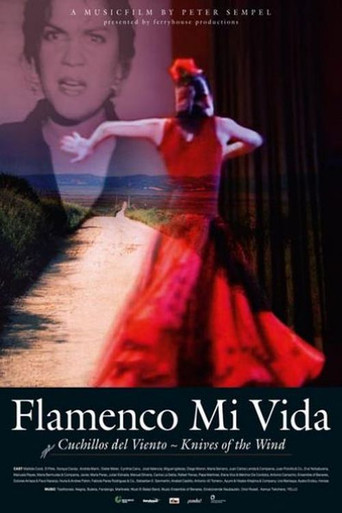 Flamenco mi vida - Knives of the wind poster