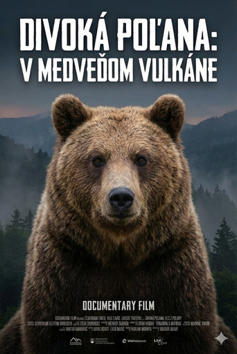 Divoká Poľana: V medveďom vulkáne poster