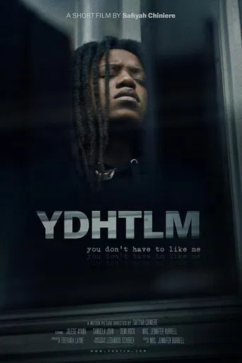 YDHTLM: You Don't Have to Like Me poster