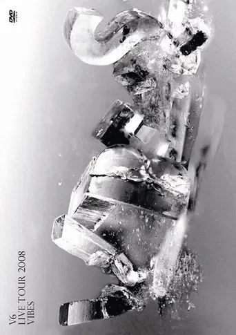 V6 LIVE TOUR 2008 VIBES poster