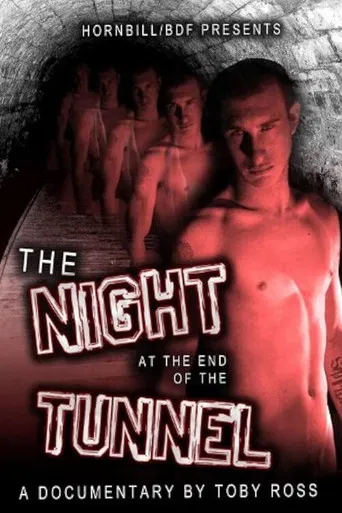 The Night at the End of the Tunnel poster