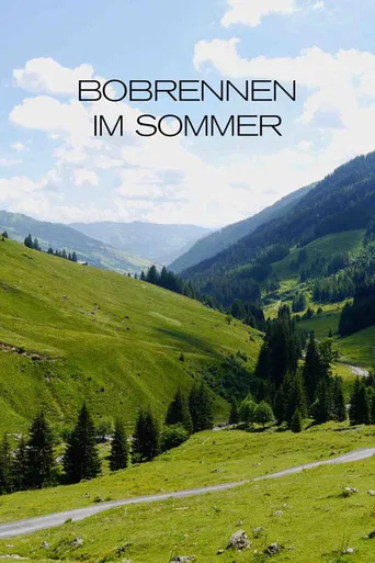 Bobrennen im Sommer poster