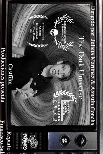 The Dark Universe poster