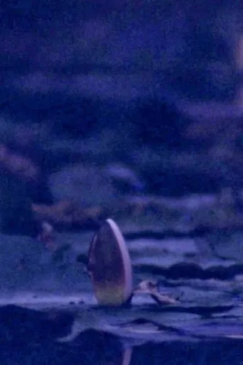 Giverny's Cusp poster