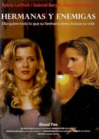 Feindliche Schwestern - Wenn aus Liebe Hass wird poster