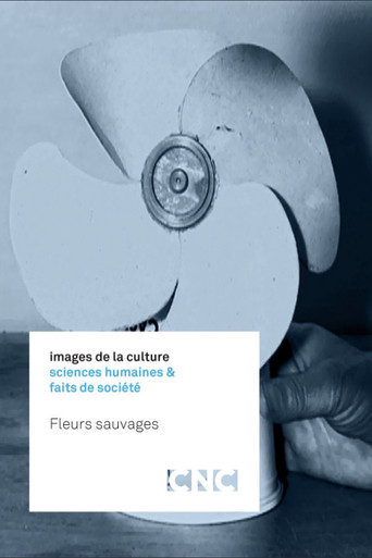 Fleurs sauvages poster
