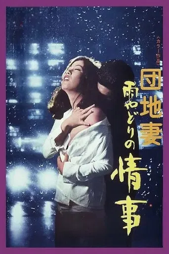 A Rainy Night Affair poster