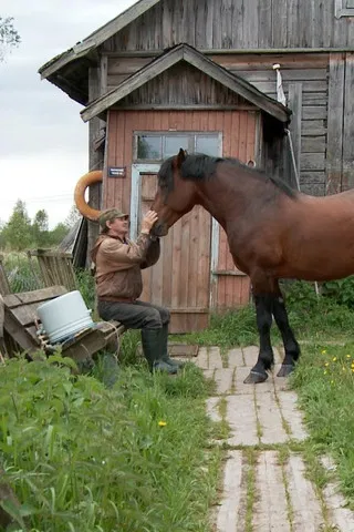 The Robinsons of Mantsinsaari poster