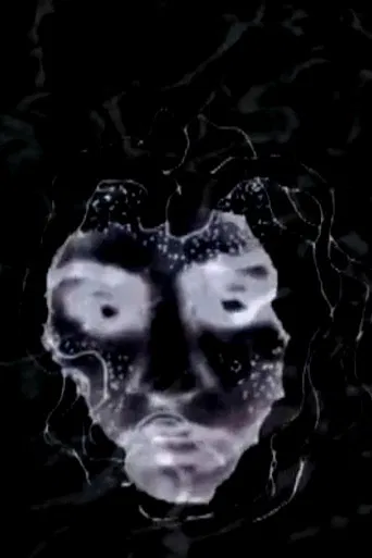 The Linear of Nightmare poster