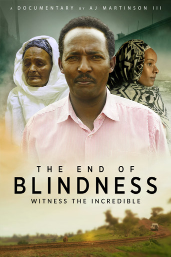The End of Blindness poster