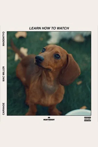 Learn How to Watch poster