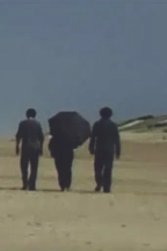 Les fenêtres sont ouvertes poster