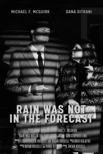 Rain was Not in the Forecast poster