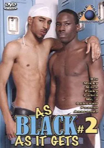 As Black as It Gets 2 poster