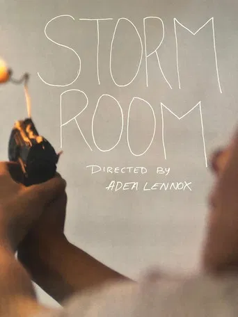 Storm Room poster