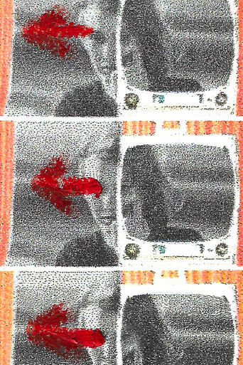 My Glances Went Like Gleaners poster