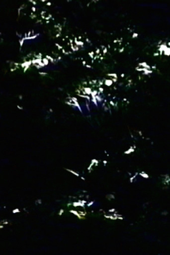 The Darkening poster