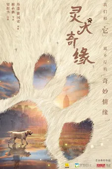 灵犬奇缘 poster