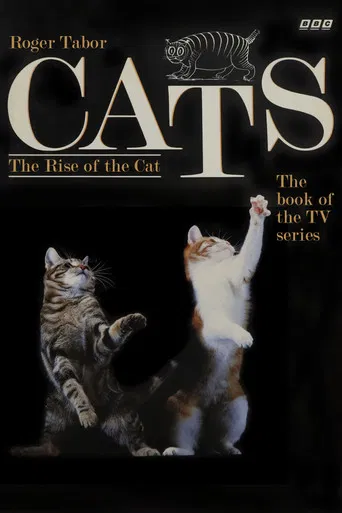 Cats poster