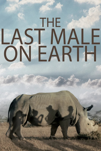 The Last Male on Earth poster