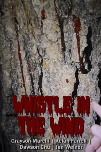 Whistle in the Wind poster