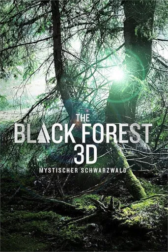 The Black Forest - Mystischer Schwarzwald poster