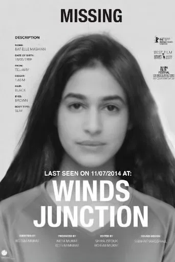 Winds Junction poster