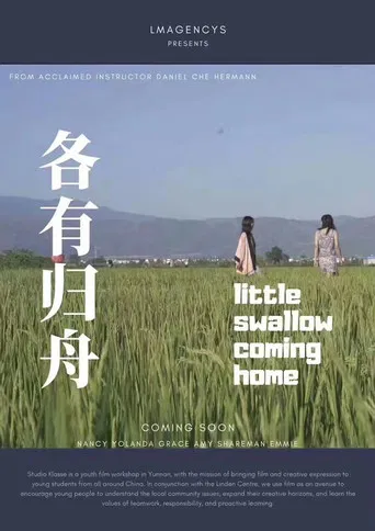 Little Swallow Coming Home poster