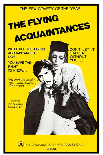 Flying Acquaintances poster