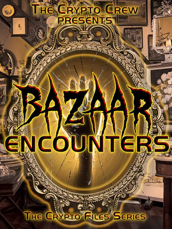 Bazaar Encounters poster