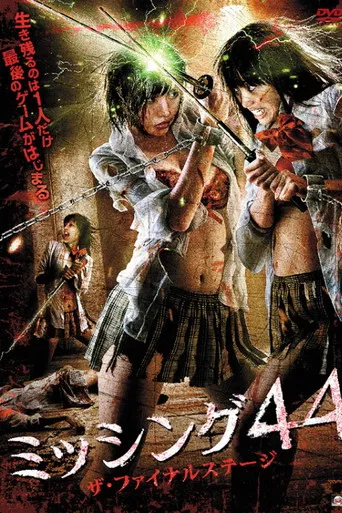 Missing 44 The Final Stage poster