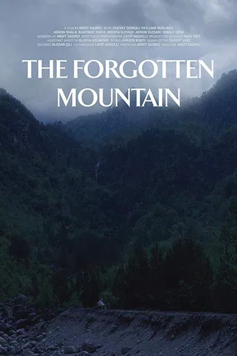 The Forgotten Mountain poster